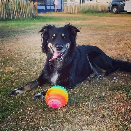 Gospodarstwo wiejskie Kaerbollinggard *