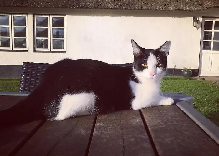 Kaerbollinggard Kır Evi