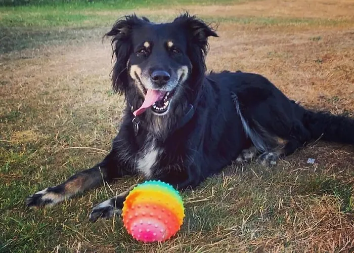 Kır Evi Kaerbollinggard *